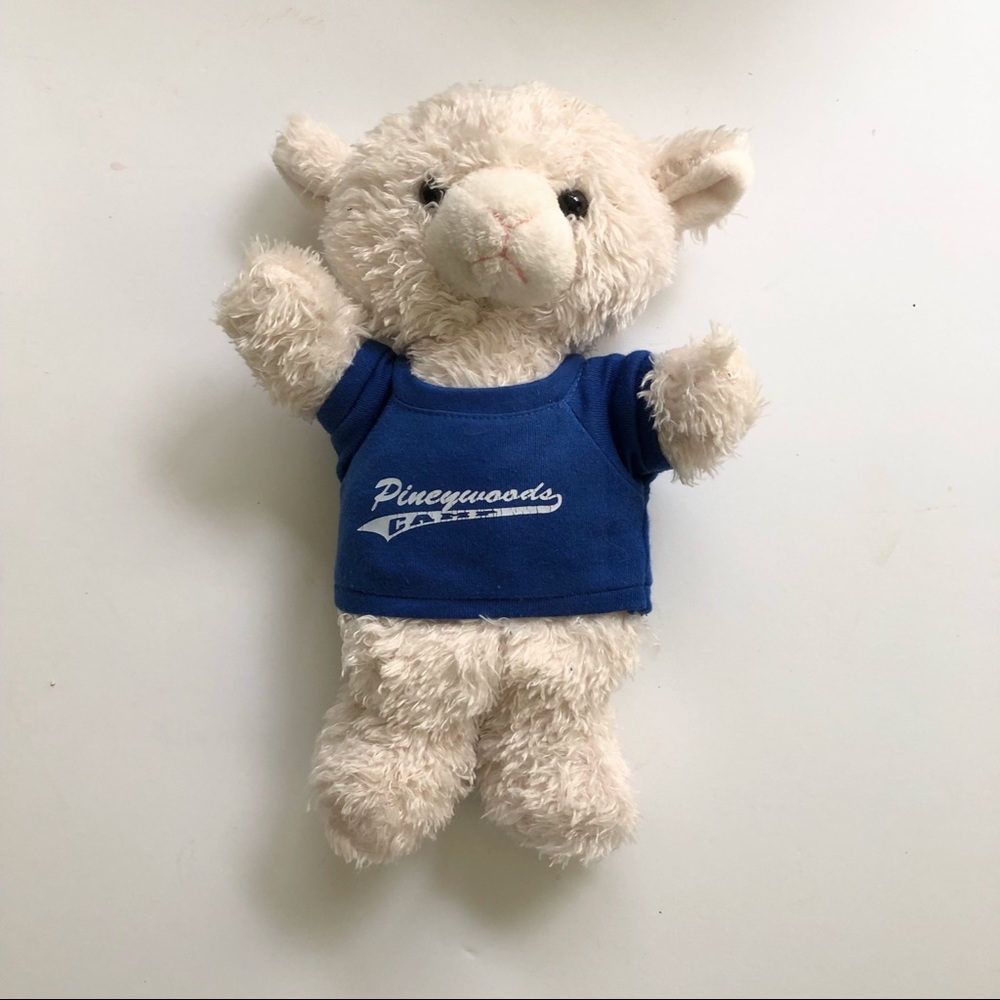 Pinewoods Camp Teddy Bear